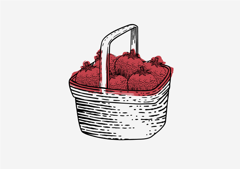 drawing of a basket full of tomatoes